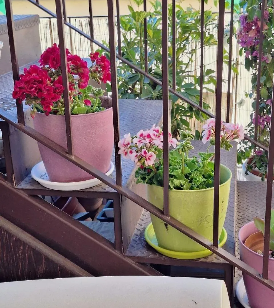 Bed and Breakfast Sogni D'Oro Агридженто 2*,  Италия