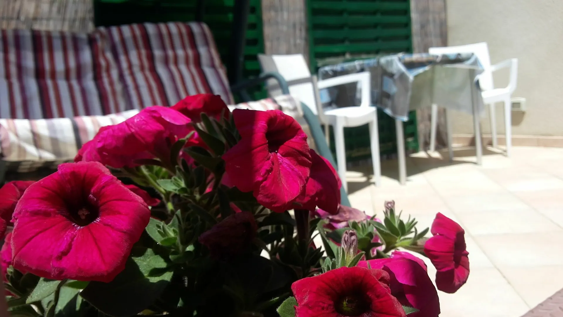 Sogni D'Oro Bed & Breakfast Agrigento